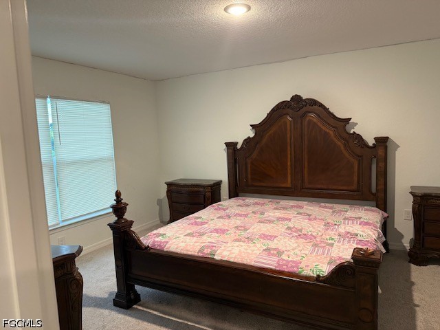 3113 74th Street W Lehigh Acres FL 33971 2026029015 image23