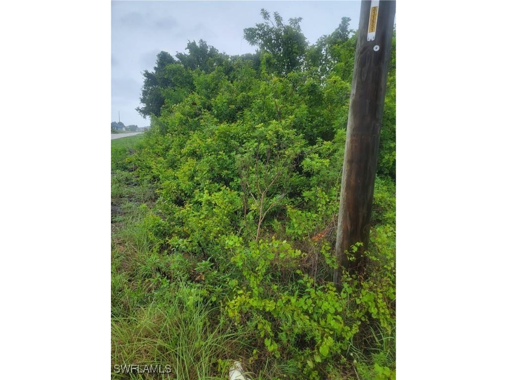 3114 5th St SW Lehigh Acres FL 33976 225055269 image2