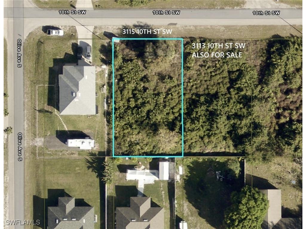 3115 10th Street SW Lehigh Acres FL 33976 225030448 image1