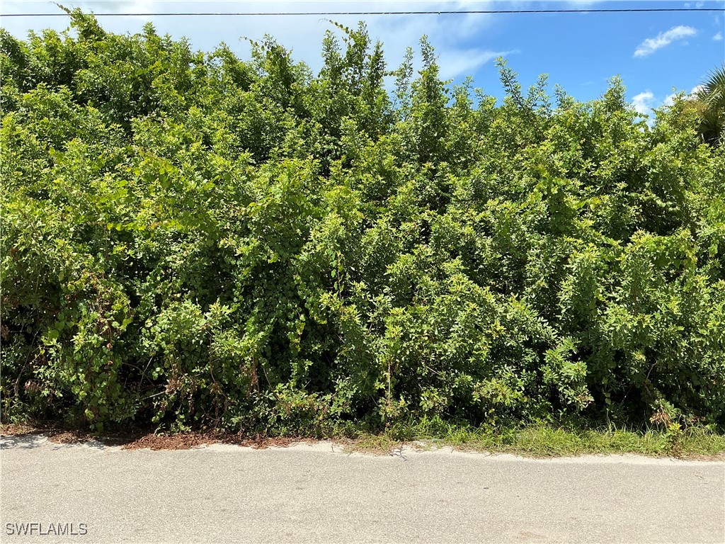 3116 36th Street SW Lehigh Acres FL 33976 224081064 image1