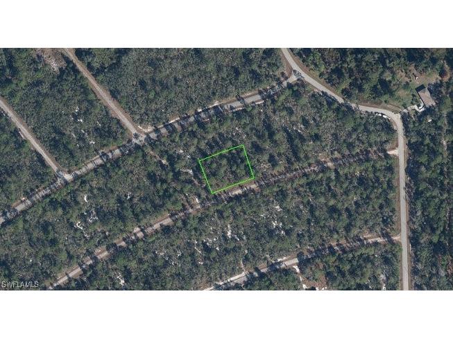 3119 Stillwell Avenue Lake Placid FL 33852 225079237 image1