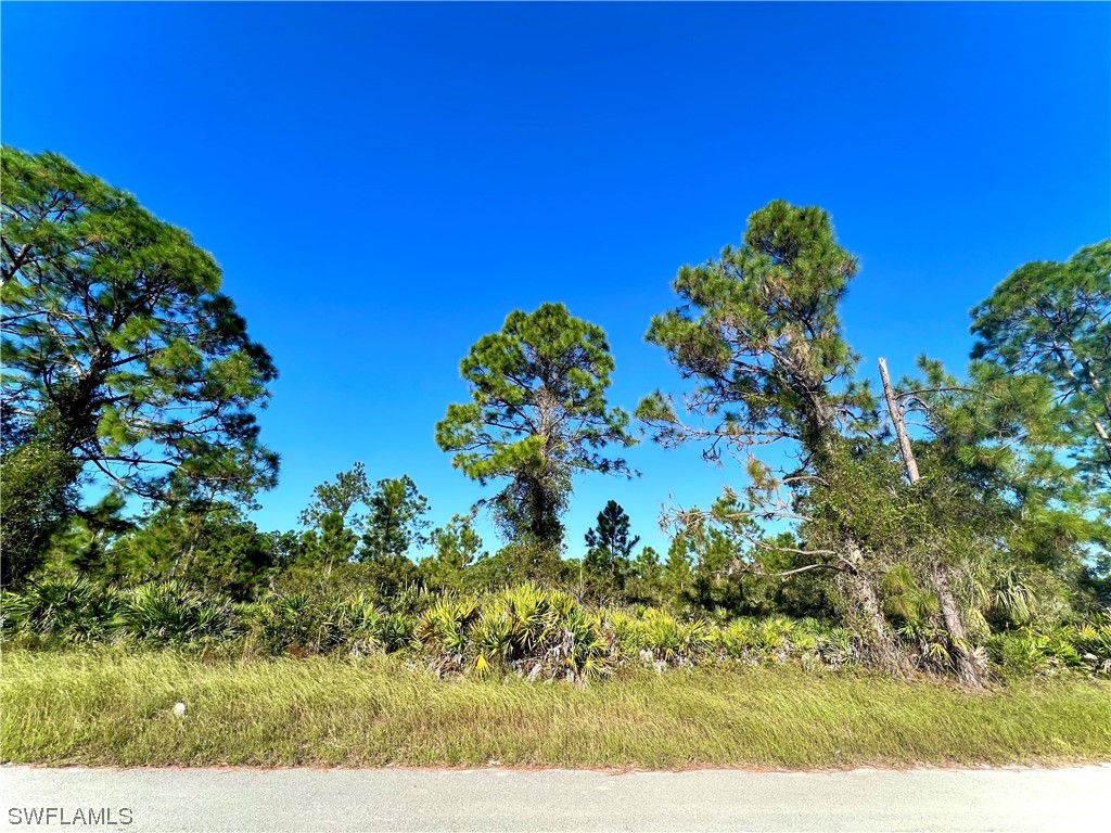 312 Bradley Avenue Lehigh Acres FL 33974 223078806 image1