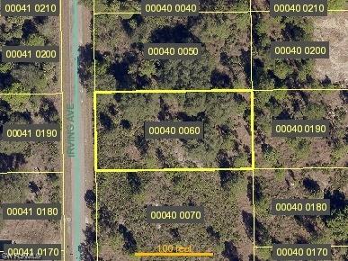 312 Irving Avenue Lehigh Acres FL 33936 223043530 image1