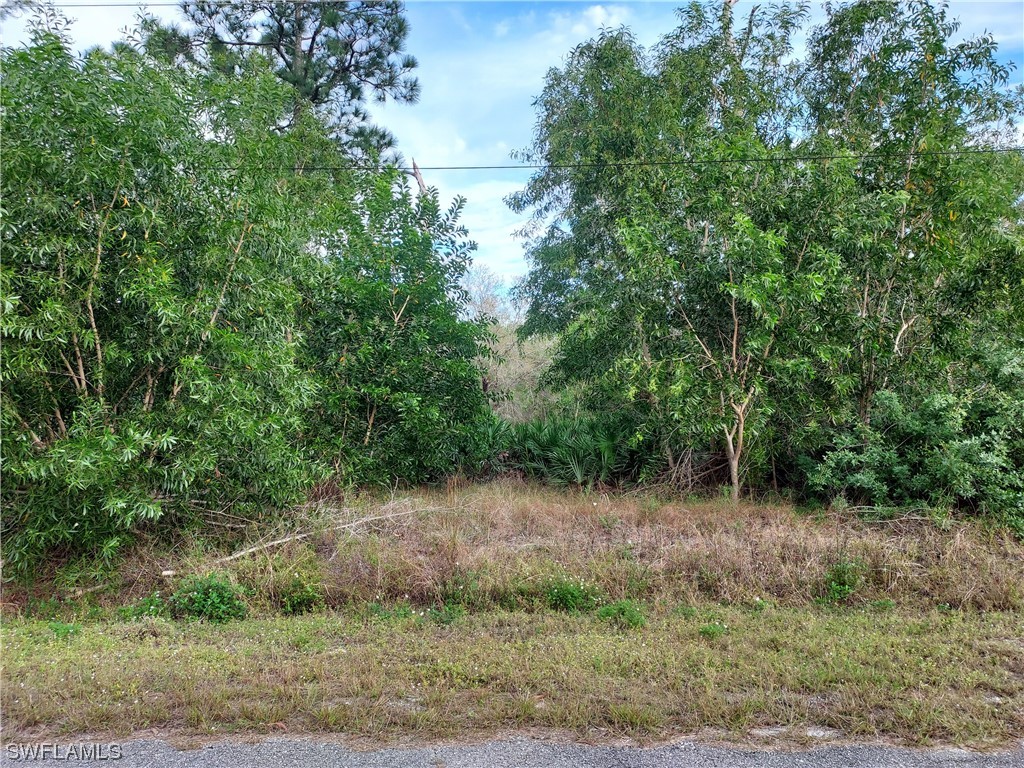 312 Leroy Avenue Lehigh Acres FL 33936 224008299 image1