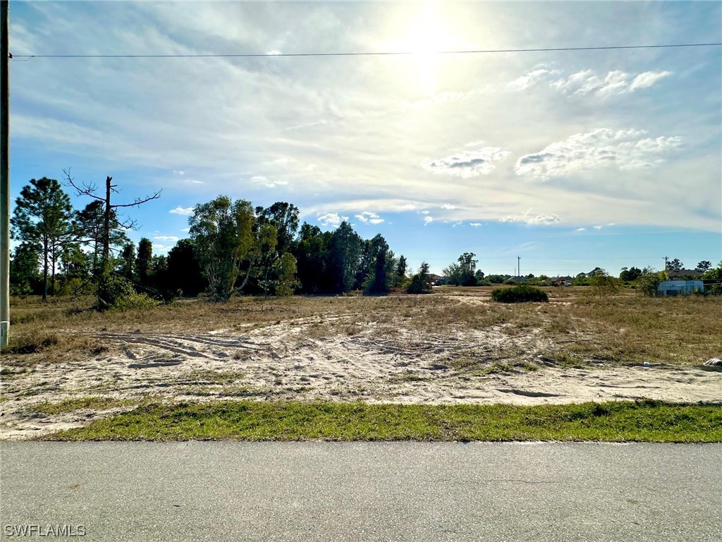 312 Petite Avenue Lehigh Acres FL 33974 224019669 image1