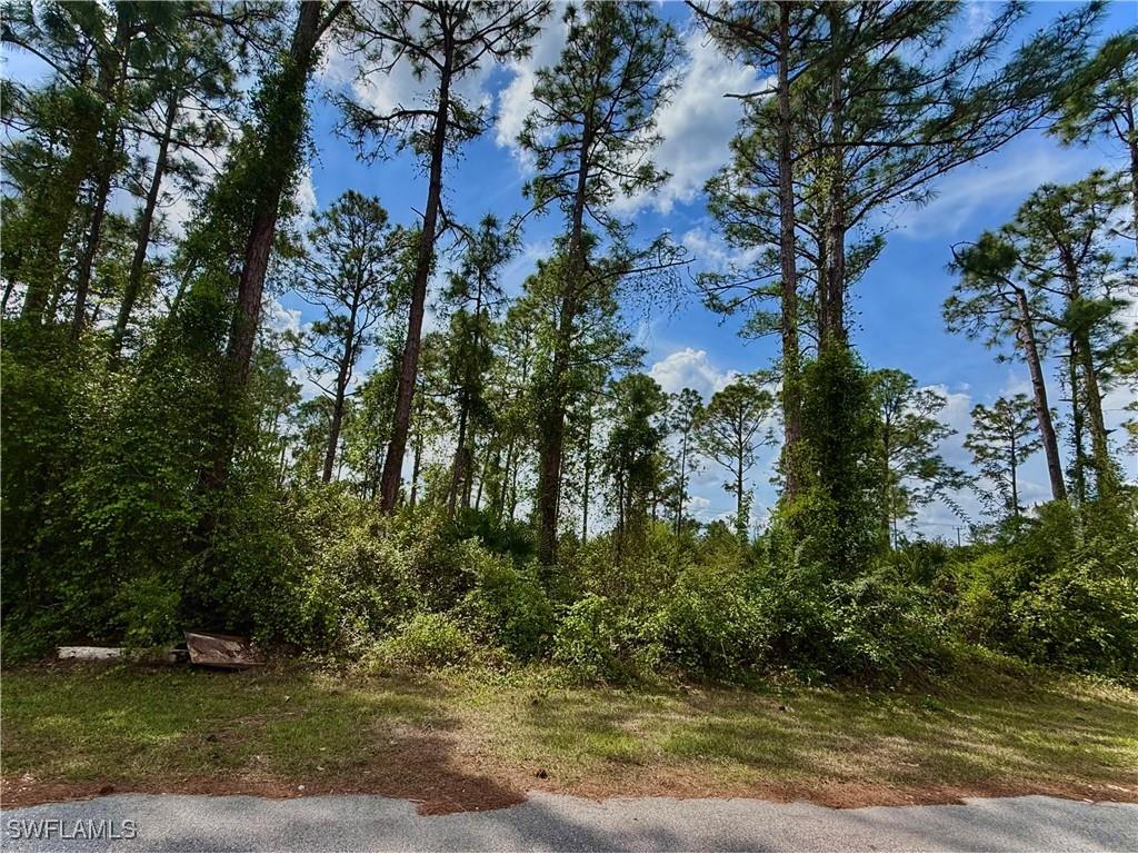 3121 69th Street W Lehigh Acres FL 33971 225030740 image1