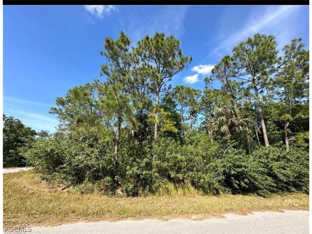 3122 47th Street W Lehigh Acres FL 33971 2026011374 image2