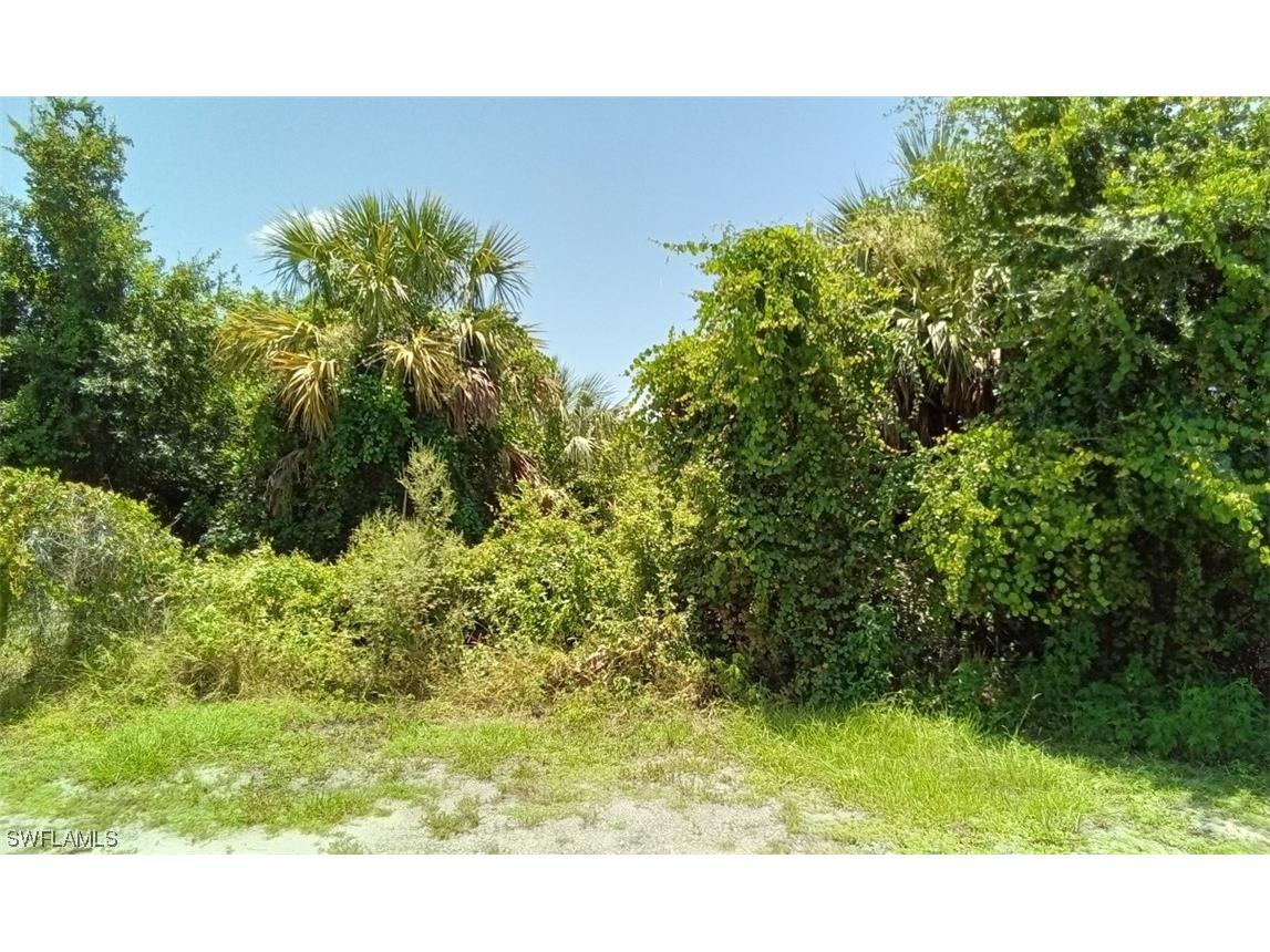 3123 26th Street SW Lehigh Acres FL 33976 223068138 image1