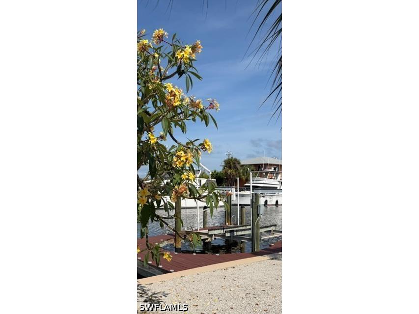3123 Bracci Drive Saint James City FL 33956 226016407 image44