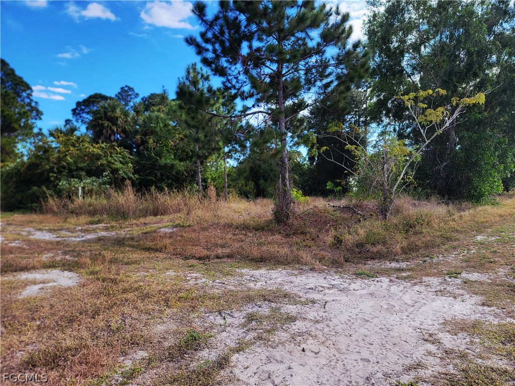 3125 29th Street SW Lehigh Acres FL 33976 2026010445 image5