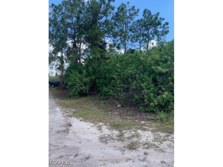 3125 38th Street SW Lehigh Acres FL 33976 2025008782 image1