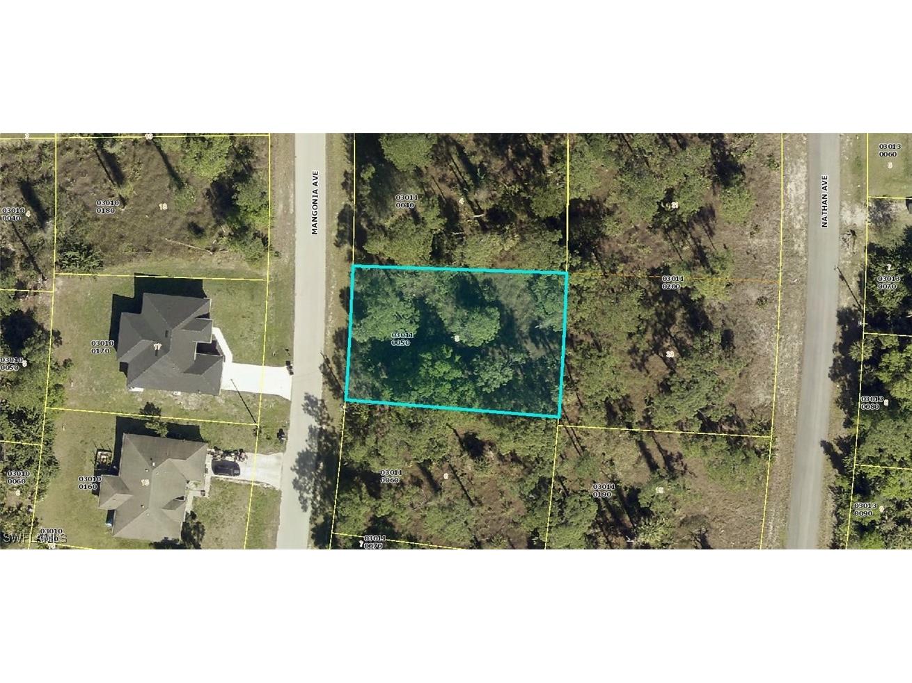 313 Mangonia Avenue Lehigh Acres FL 33974 224083552 image1