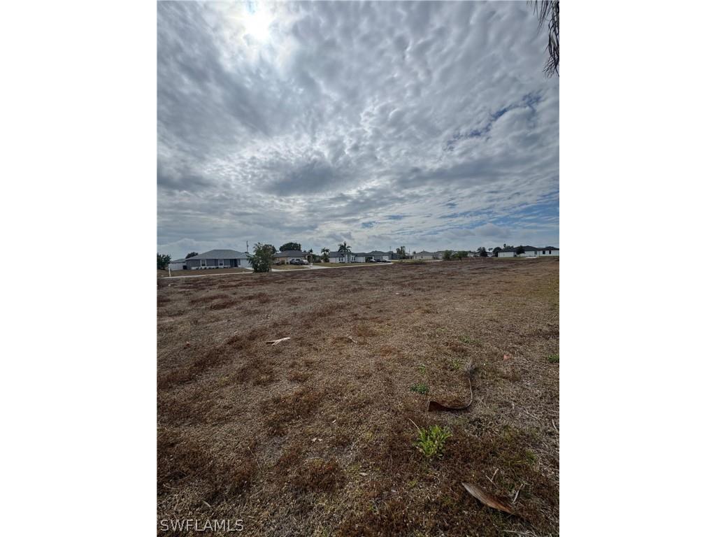 313 NW 4th Terrace Cape Coral FL 33993 226006206 image1