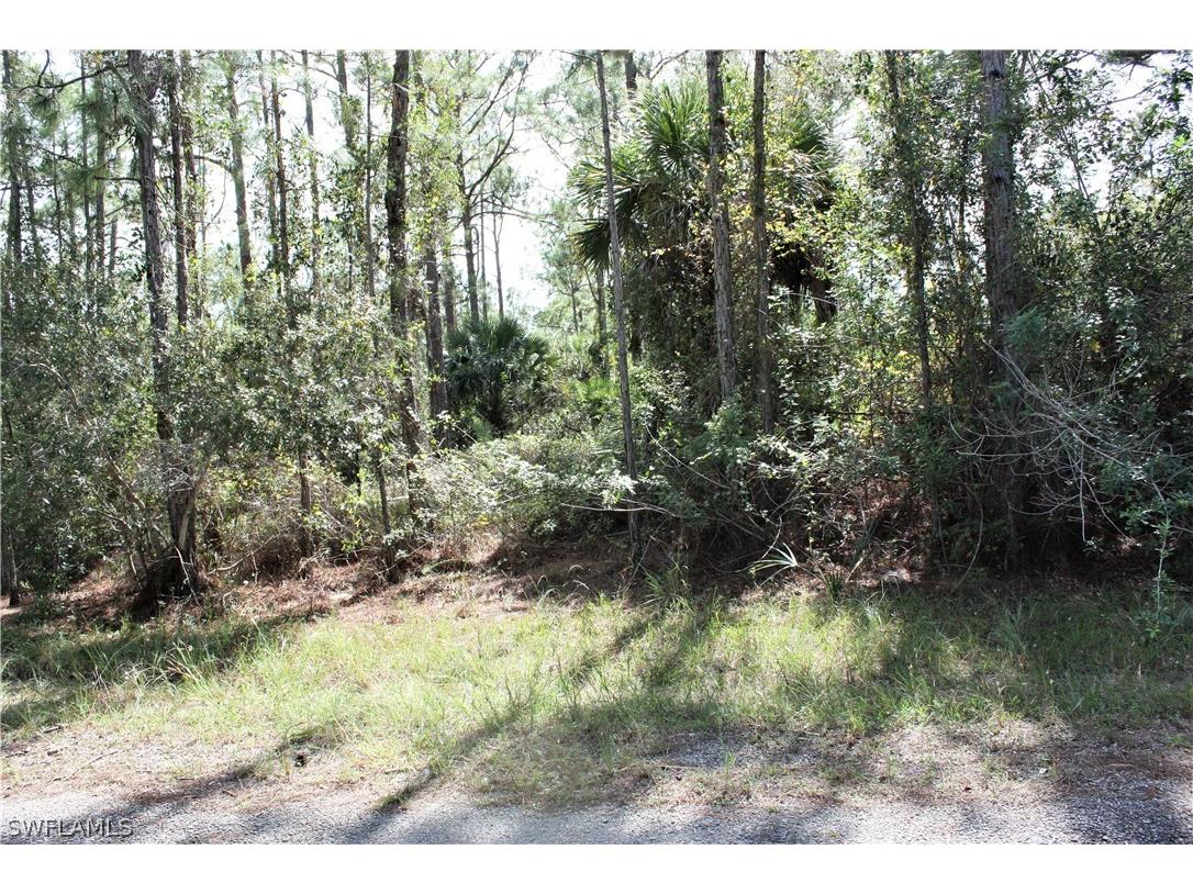 313 Rosanna Avenue Lehigh Acres FL 33972 221075244 image1