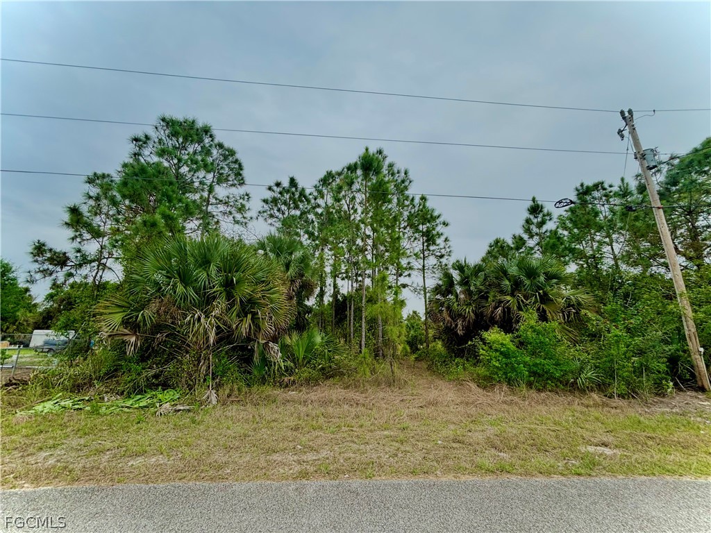 313 Selkirk Avenue Lehigh Acres FL 33974 2026013430 image1