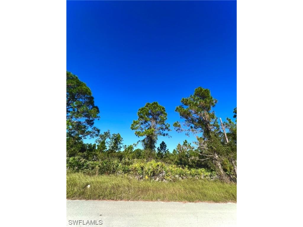 314 Bradley Avenue Lehigh Acres FL 33974 223078807 image1