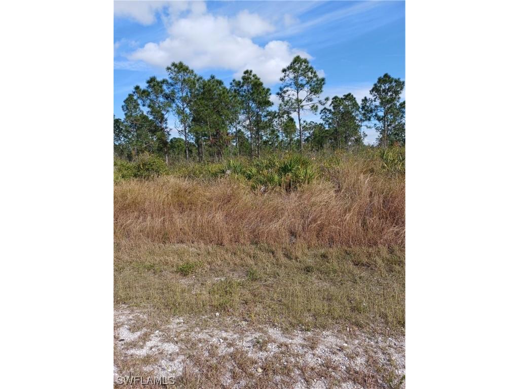 314 Moore Avenue Lehigh Acres FL 33936 224003004 image1