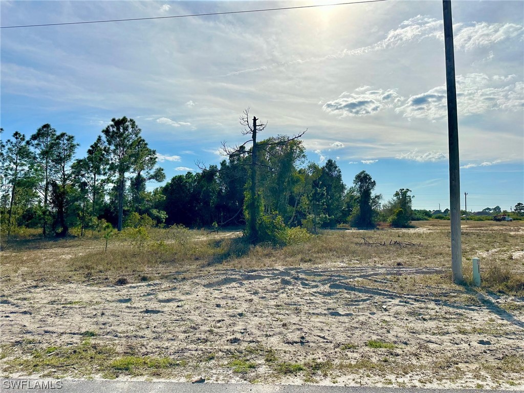 314 Petite Avenue Lehigh Acres FL 33974 224019670 image1