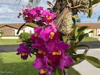 314 Reynolds Court Naples FL 34112 225081305 image23