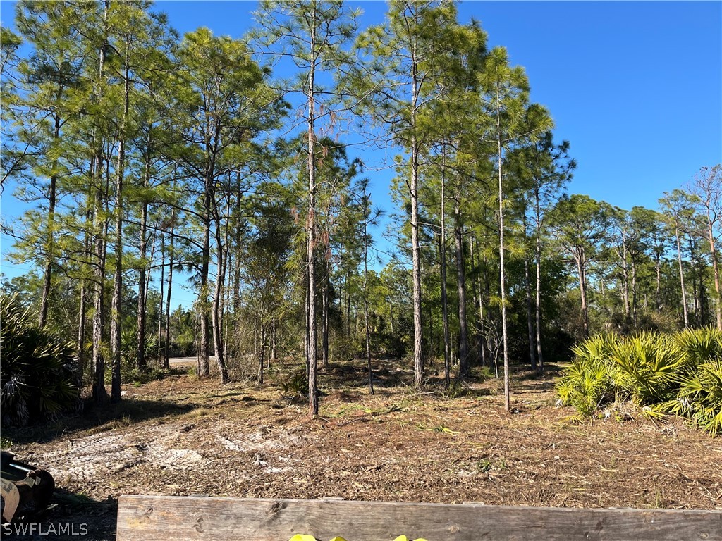 314 Spokane Avenue Lehigh Acres FL 33972 226009305 image1