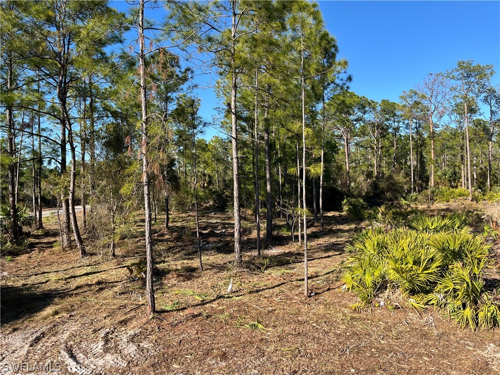 314 Spokane Avenue Lehigh Acres FL 33972 226009305 image2