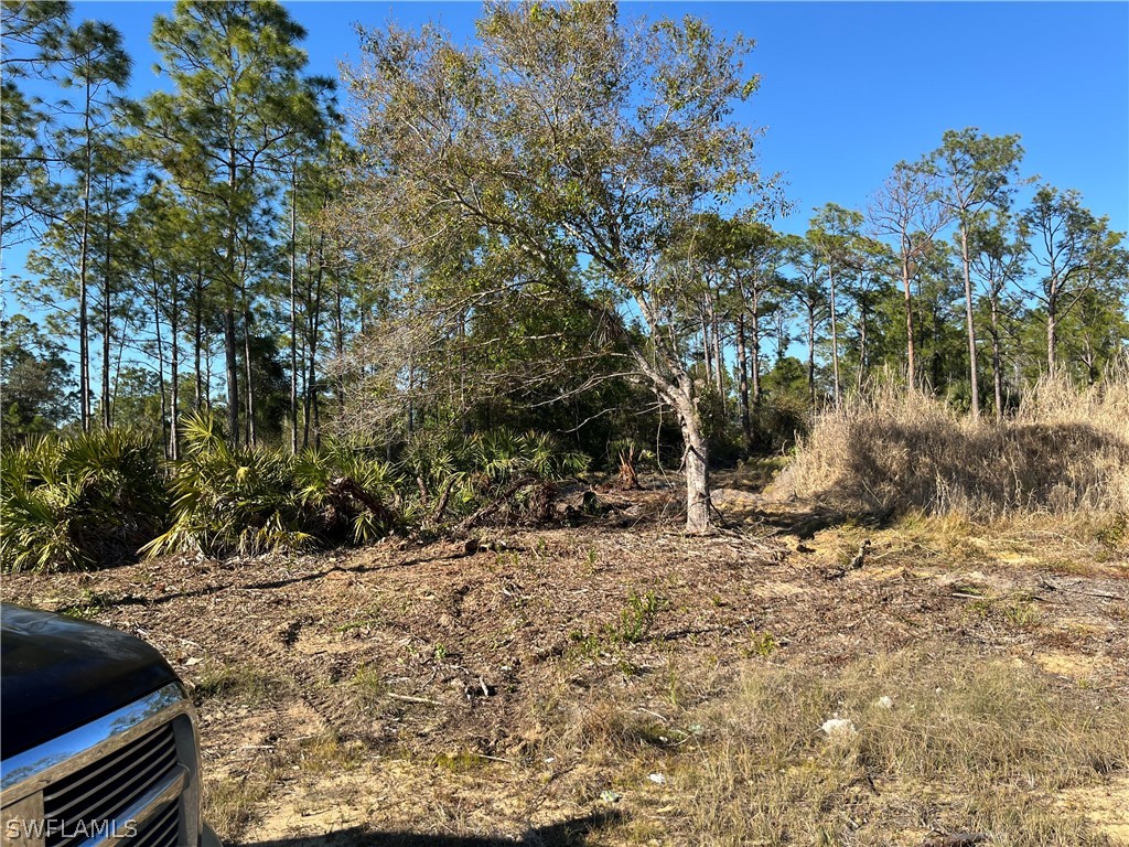 314 Spokane Avenue Lehigh Acres FL 33972 226009305 image3