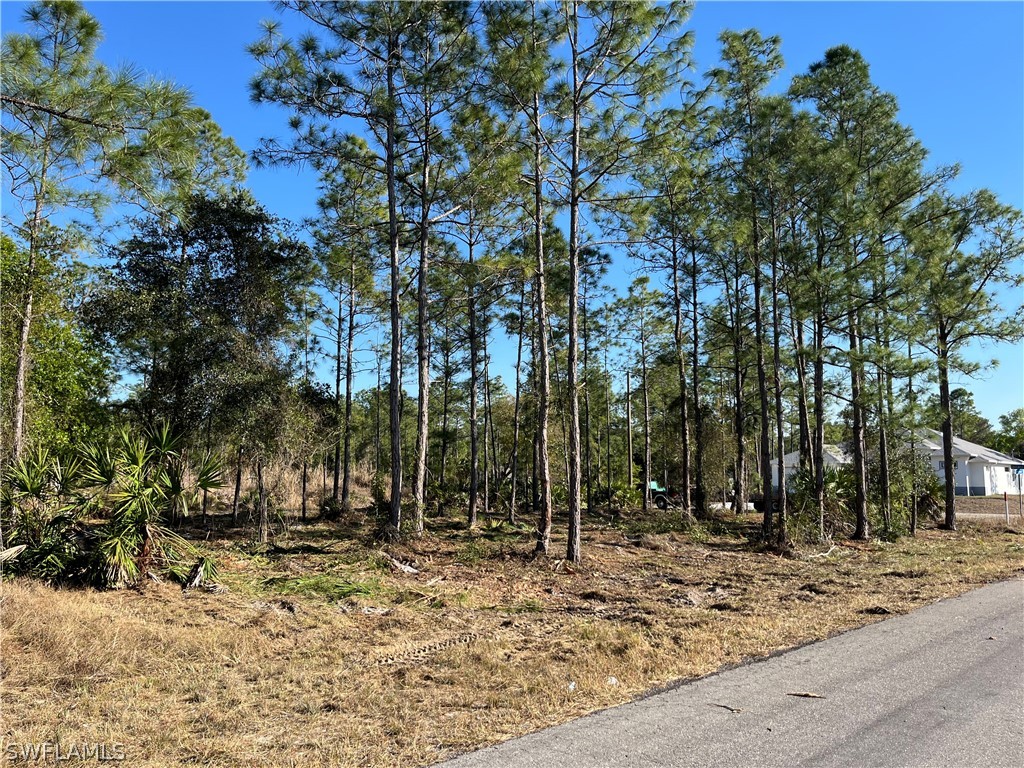 314 Spokane Avenue Lehigh Acres FL 33972 226009305 image4