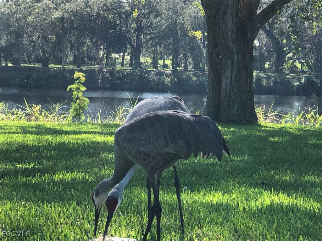 3145 Shell Lane Fort Denaud FL 33935 2025009006 image14