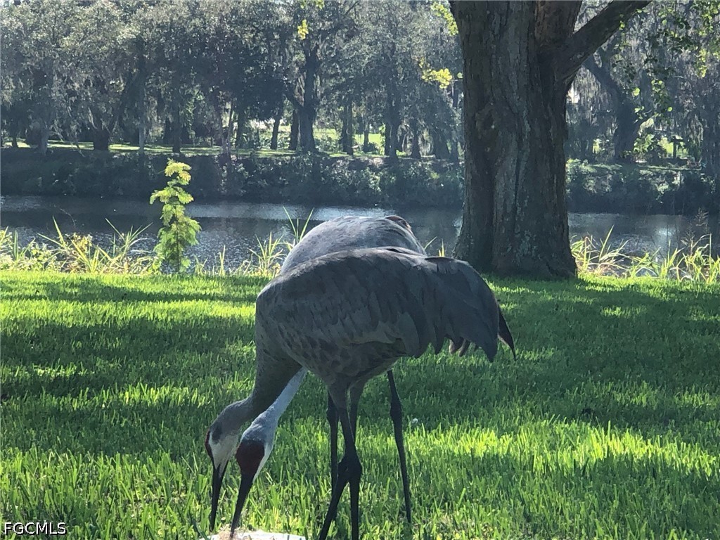 3145 Shell Lane Fort Denaud FL 33935 2026016018 image14