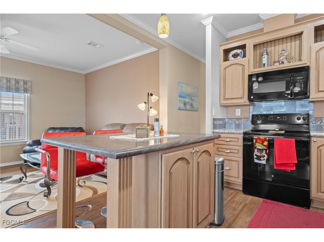 3145 Venus Lane North Fort Myers FL 33903 2025016329 image9