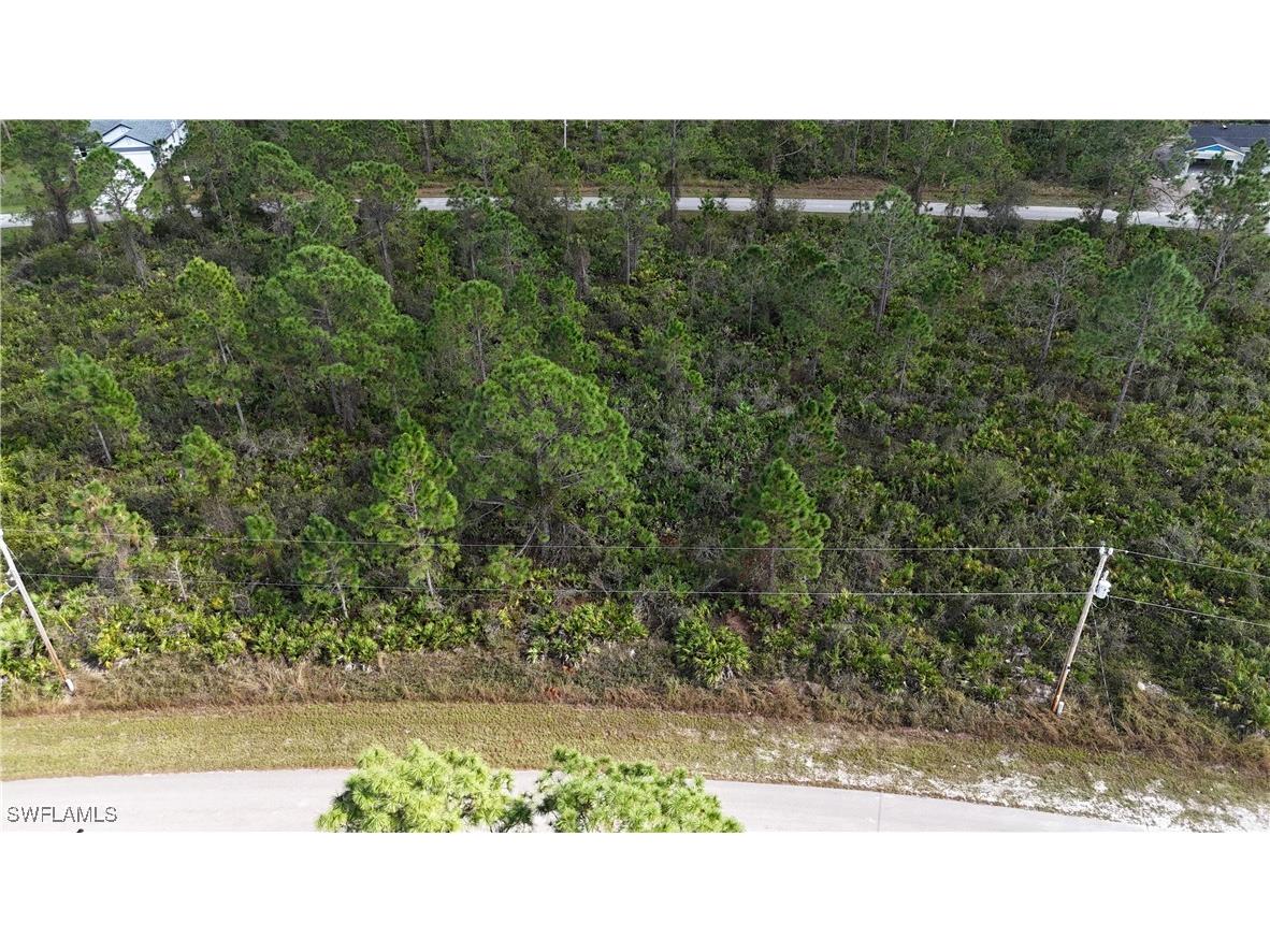 315 Bradley Avenue Lehigh Acres FL 33974 224090155 image1