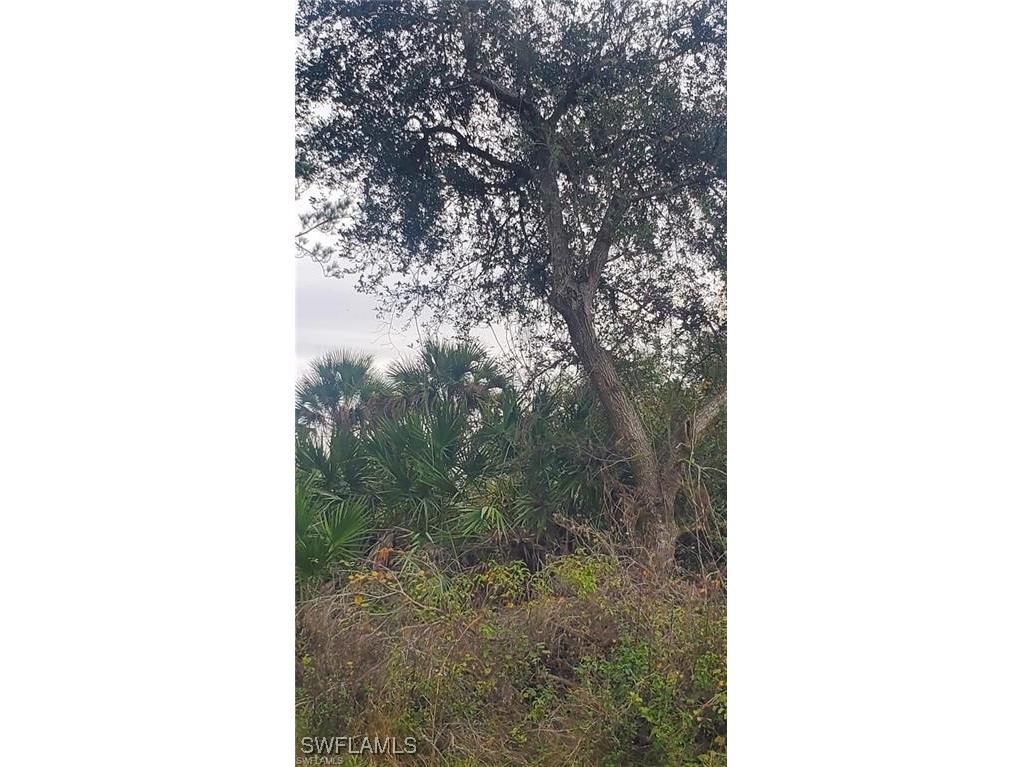 315 IVANHOE AVE Banyan Village Labelle FL 33935 225080637 image1