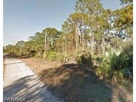 315 Mangonia Avenue Lehigh Acres FL 33974 223076439 image1