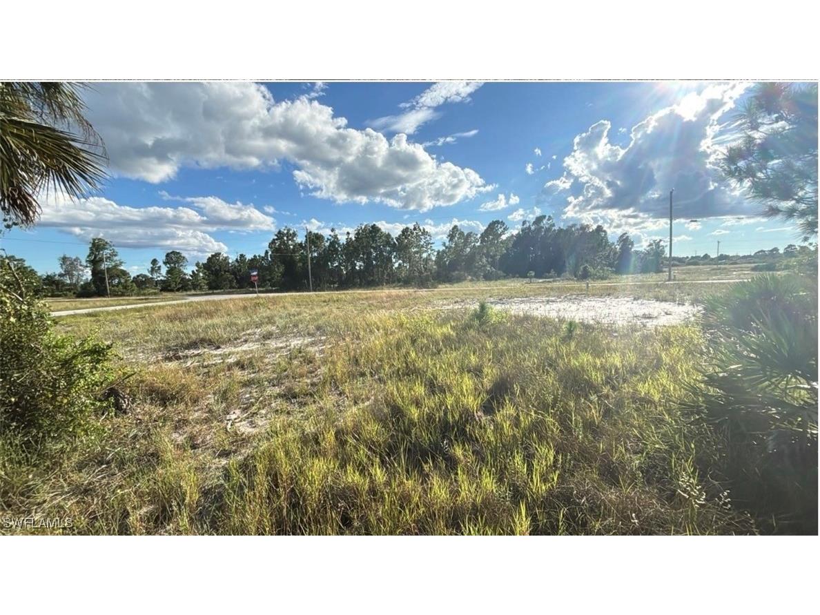 315 Petite Avenue Lehigh Acres FL 33974 225083660 image3