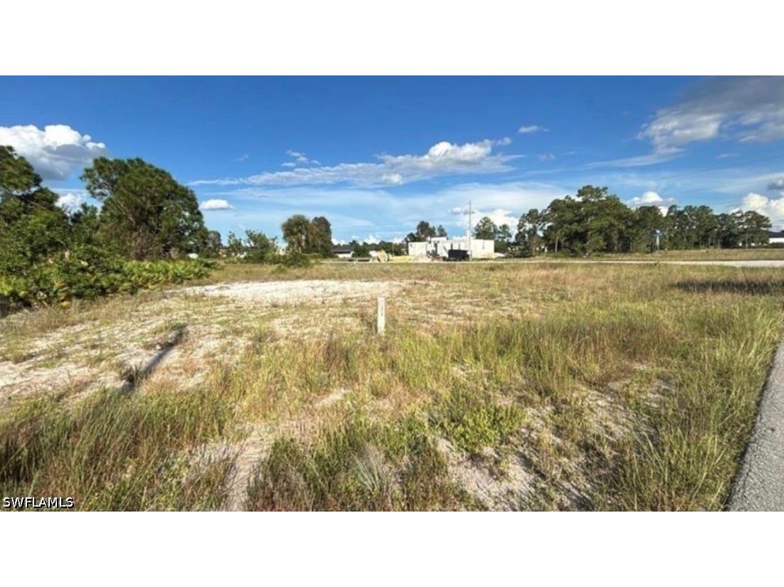 315 Petite Avenue Lehigh Acres FL 33974 226023312 image2