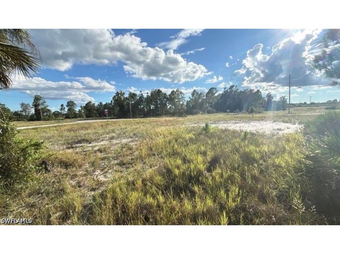 315 Petite Avenue Lehigh Acres FL 33974 226023312 image3