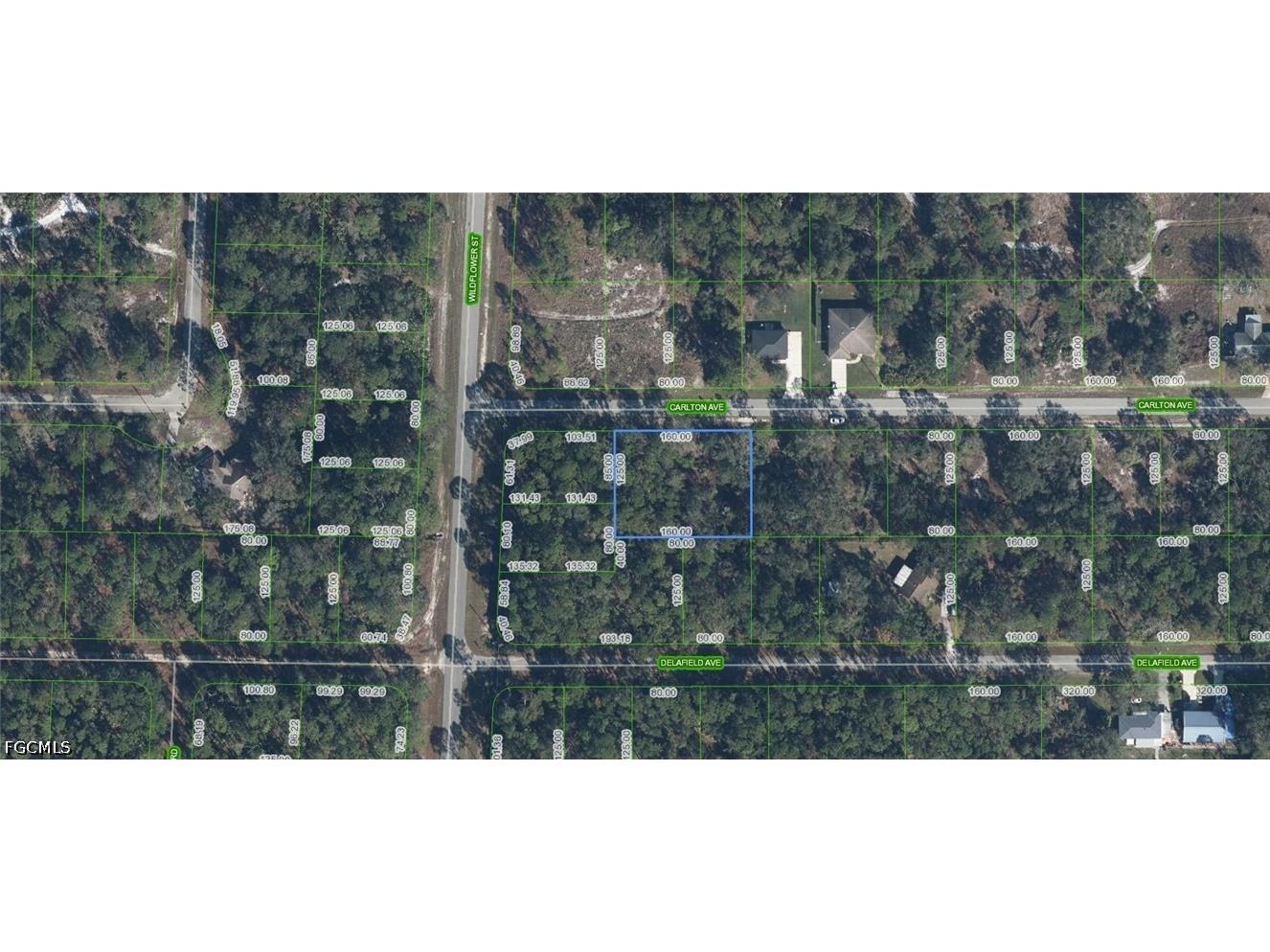 3154 Carlton Avenue Lake Placid FL 33852 2026023891 image1