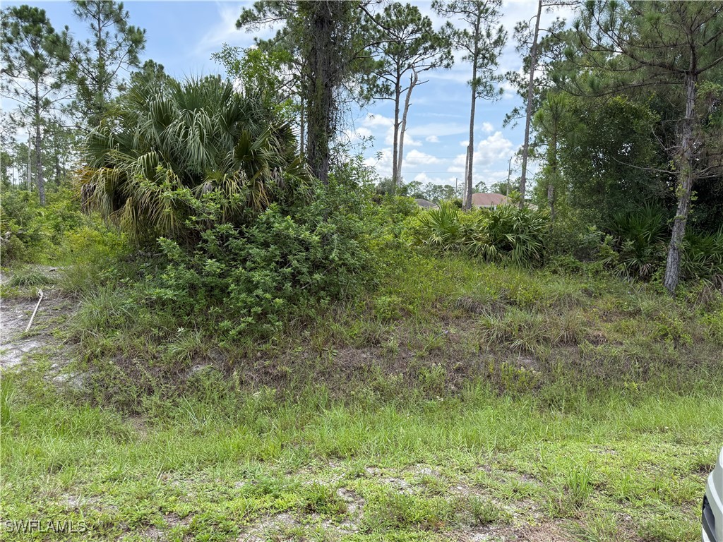 316 Canton Avenue Lehigh Acres FL 33936 225065030 image1