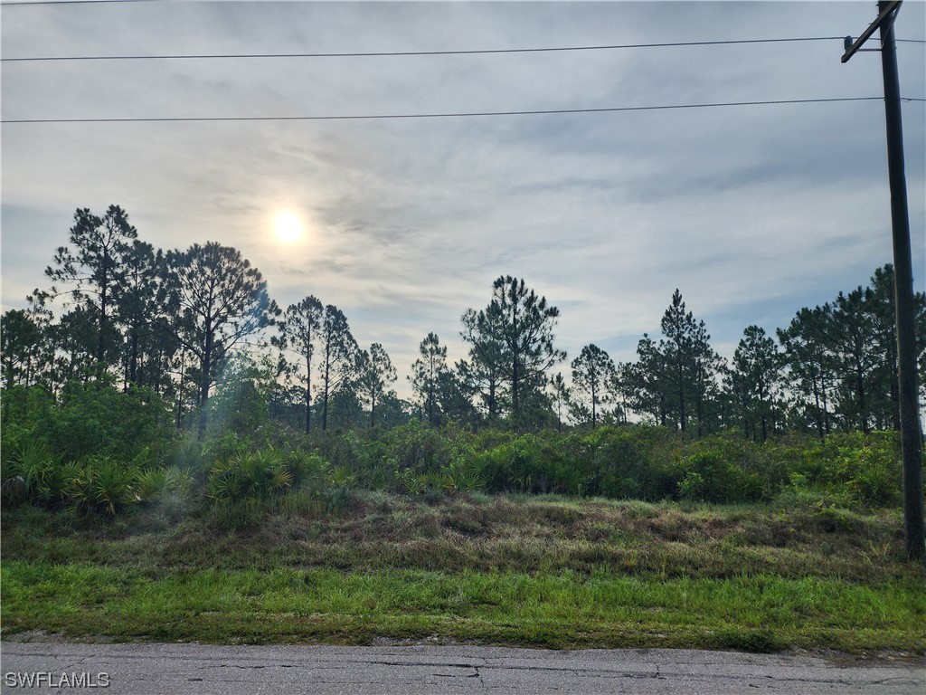 316 Moore Avenue Lehigh Acres FL 33936 223046231 image1