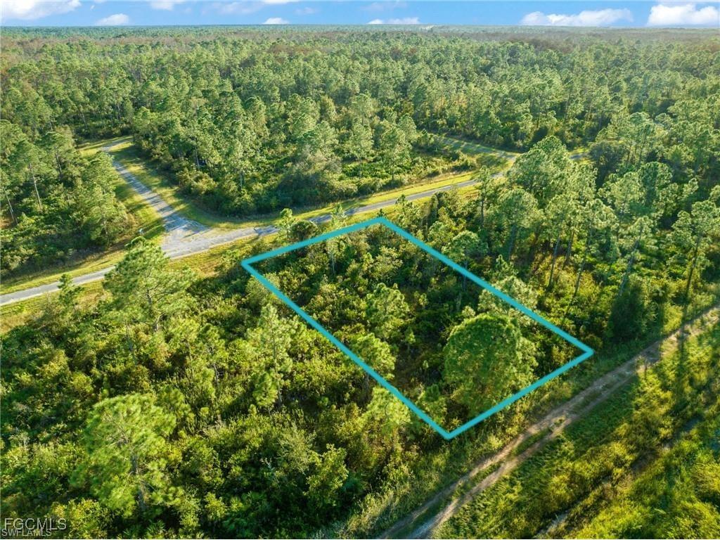 316 Tyrone Avenue Lehigh Acres FL 33972 2025005115 image1