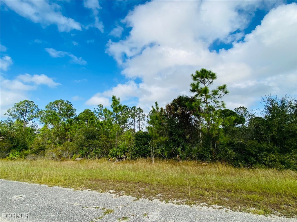 316 Tyrone Avenue Lehigh Acres FL 33972 2025005115 image2