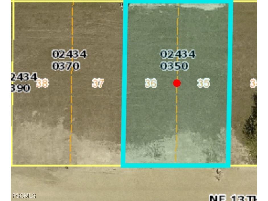 317 NE 13th Terrace Cape Coral FL 33909 2025018110 image1