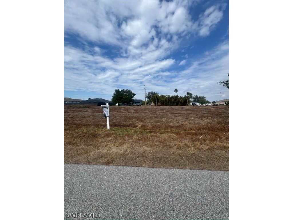 317 NW 4th Terrace Cape Coral FL 33993 226006129 image1