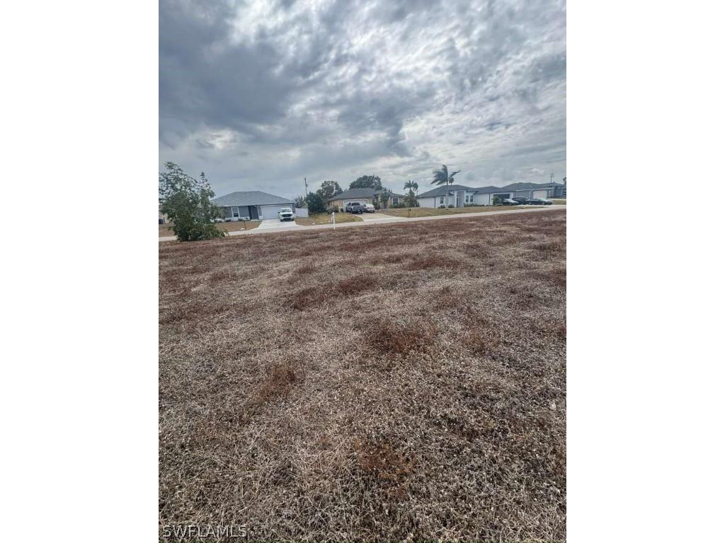 317 NW 4th Terrace Cape Coral FL 33993 226006129 image2