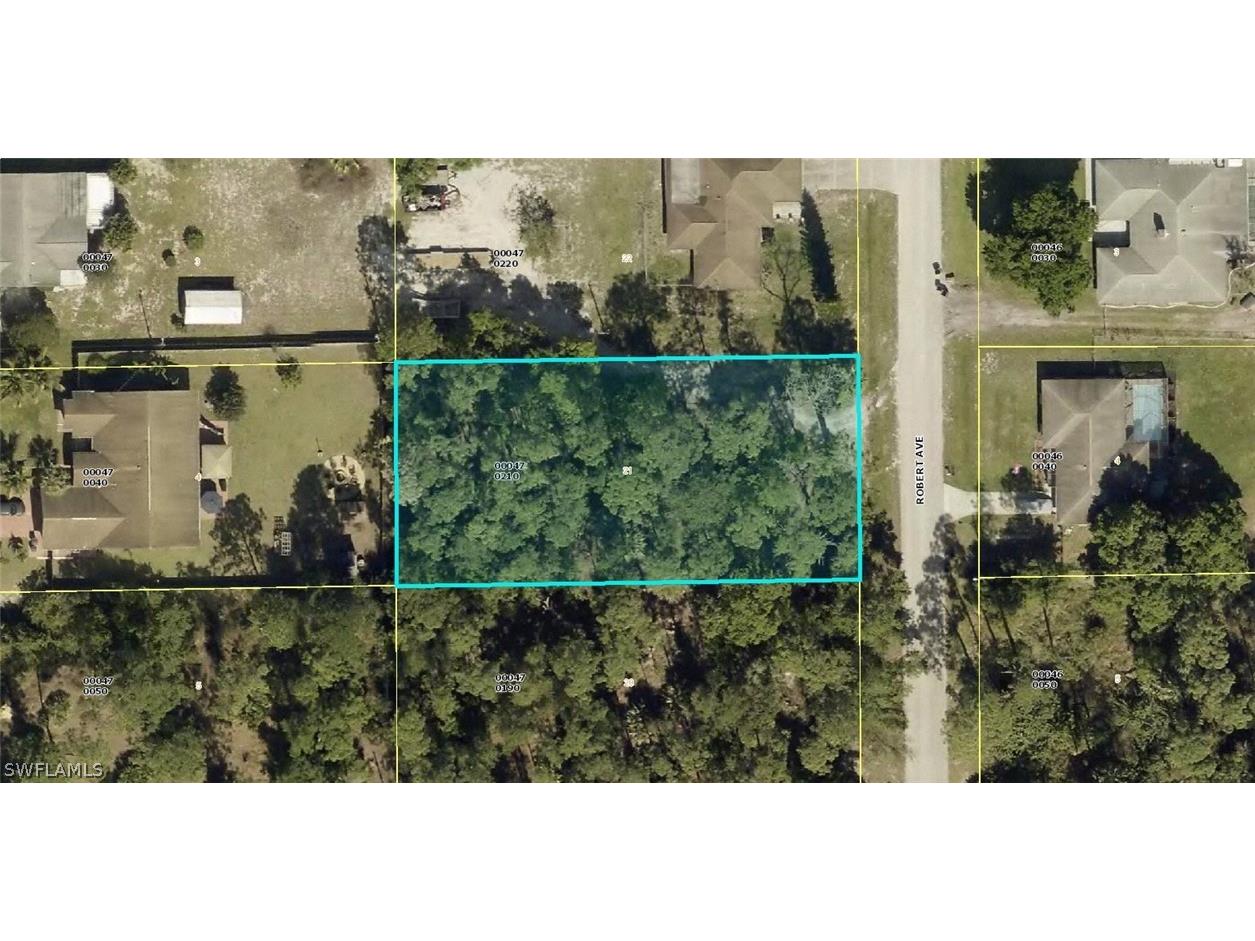 317 Robert Avenue Lehigh Acres FL 33936 224035225 image1