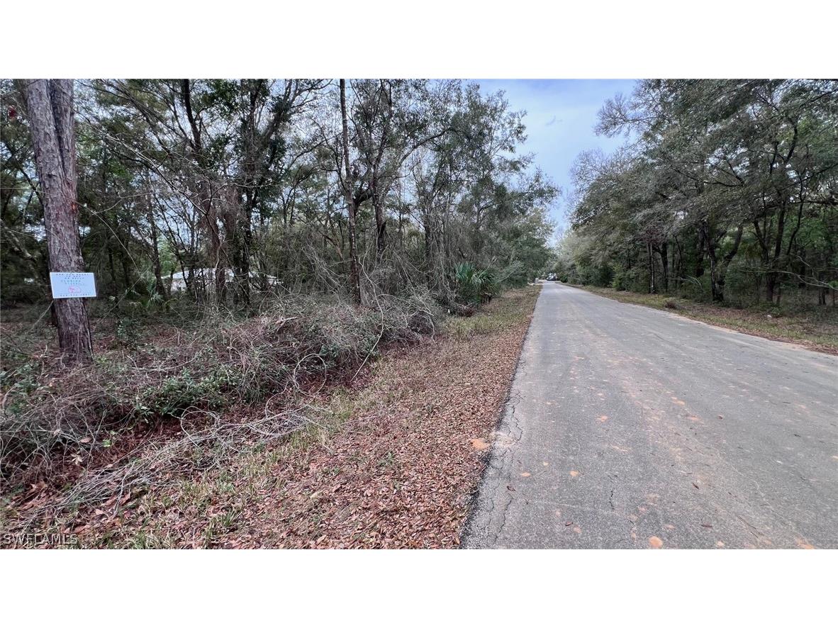 3176 E John Lane Inverness FL 34453 226007744 image2