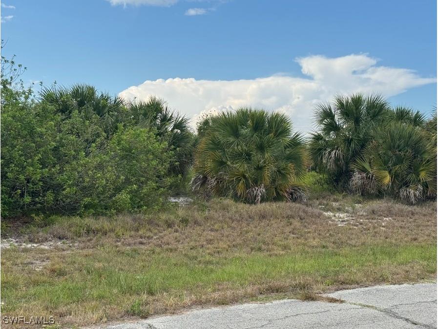 318 Kansas Terrace Labelle FL 33935 225025086 image1