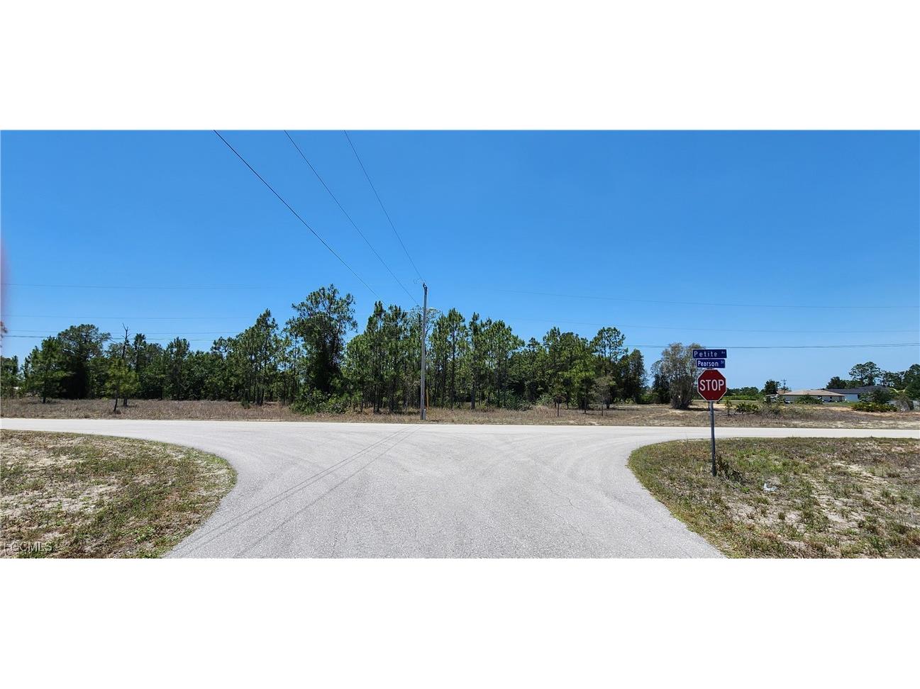 318 Petite Avenue Lehigh Acres FL 33974 2025014261 image1