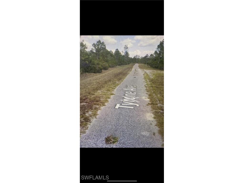 318 Tyrone Avenue Lehigh Acres FL 33972 225072867 image1