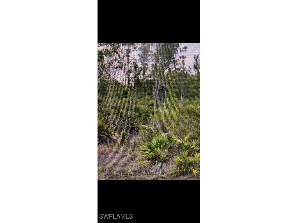 318 Tyrone Avenue Lehigh Acres FL 33972 225072867 image2